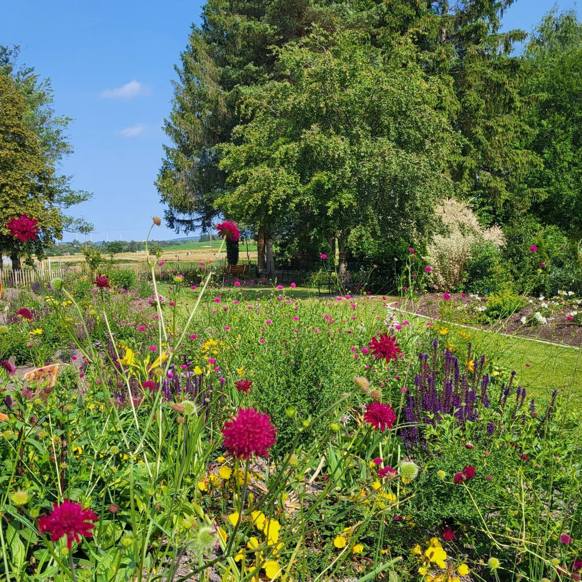 Komfort Ferienwohnungen Mit Wellness-Garten - Gaestehaus Am Bachlauf - Losheim Am See Dış mekan fotoğraf