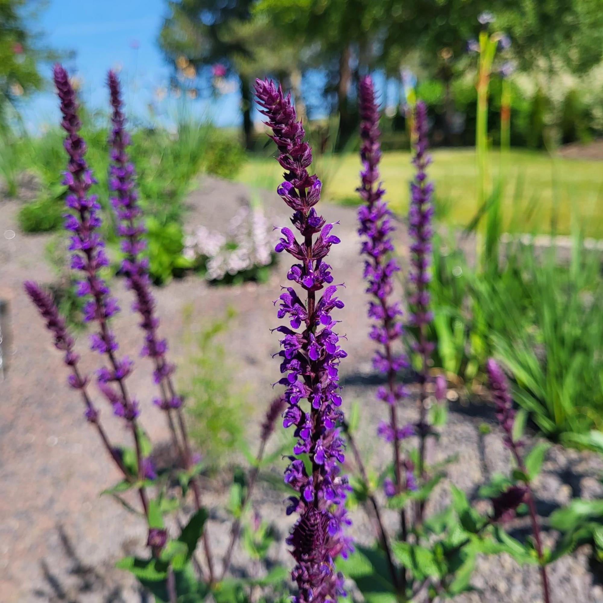 Komfort Ferienwohnungen Mit Wellness-Garten - Gaestehaus Am Bachlauf - Losheim Am See Oda fotoğraf
