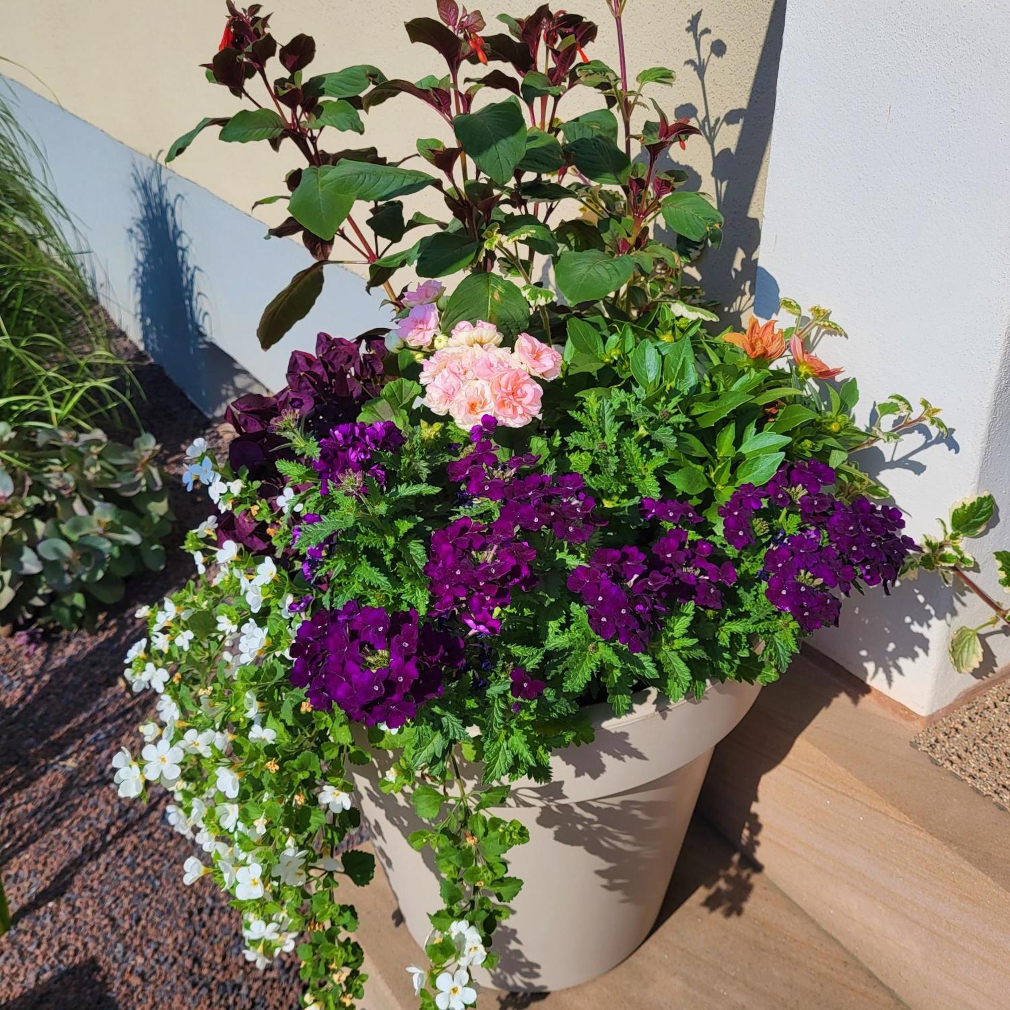 Komfort Ferienwohnungen Mit Wellness-Garten - Gaestehaus Am Bachlauf - Losheim Am See Oda fotoğraf